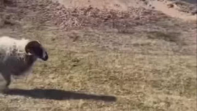 谁告诉我pull guard无效的？