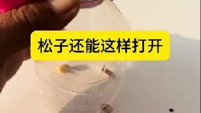 高手还是在民间，没想到松子还能这样打开
