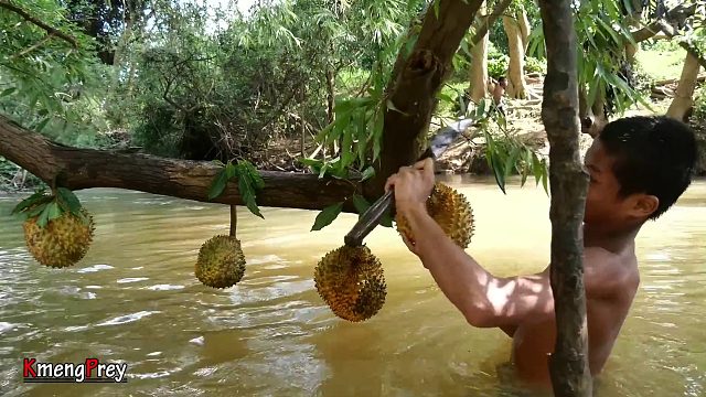 20260226 Kmeng Prey - 吃美味的榴莲