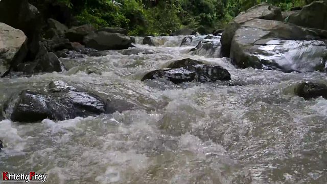 20260226 原始技术 - Kmeng Prey - 哇在水中遇见鱿鱼并烹饪