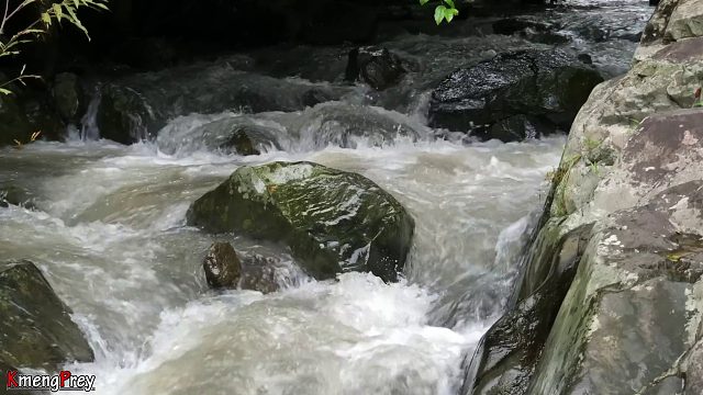 20260226 原始技术 - Kmeng Prey - 哇煮虾 - 吃得美味