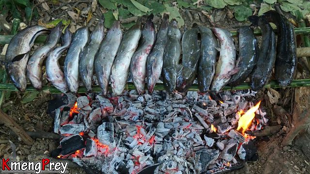20260226 原始技术 - Kmeng Prey - 遇见瀑布里的所有鱼并烹饪美味