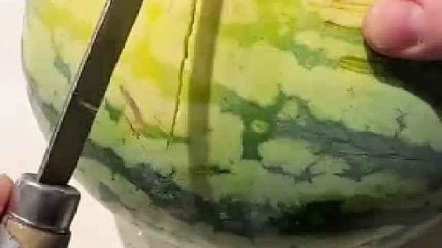 大家来猜，这瓜每斤售价几何？