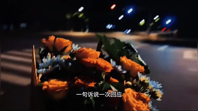 一生追寻，不过是被温柔听见梨花声音训练营