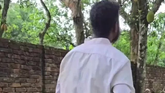 泛滥的猴子成群结队下山搞破坏
