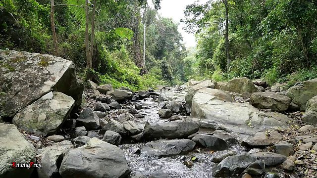 20260226 原始技术 - 在魔术中寻找食物并烹饪红鱼吃美味 - Kmeng Prey