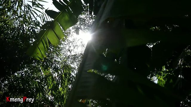 20260226 原始技术 - 认识丛林中的戈特家族 - 烹饪美食