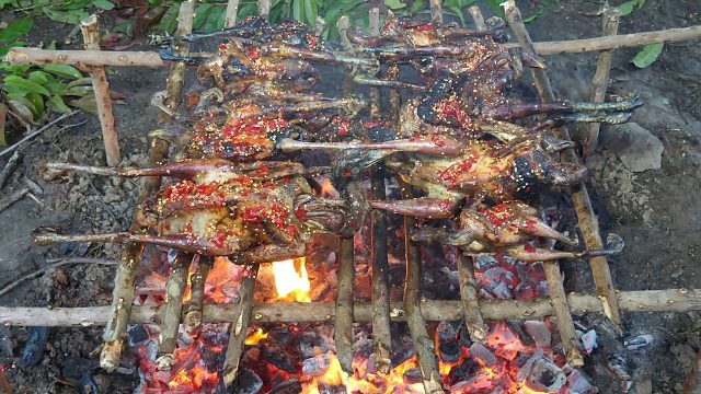 20260226 原始技术-Kmeng Prey-美味烹饪11吃鸡美味