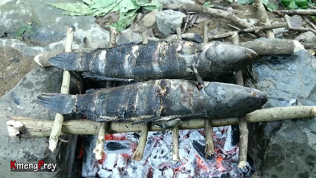 20260226 原始技术-在watterfull钓大鱼-烹饪吃秀美味