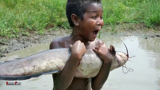 20260226 原始技术——今天在森林里抓大鱼烤着吃