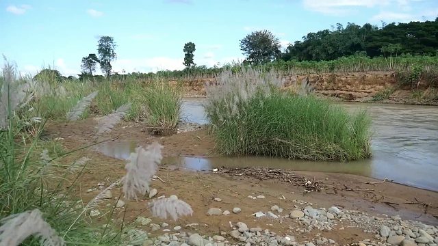 20260226 原始技术——猪烹饪食用美味