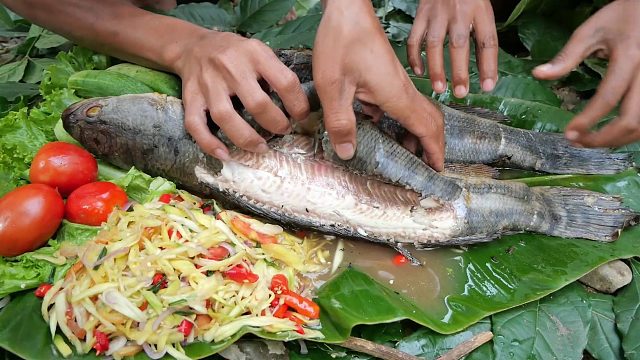 20260226 原始技术——让芒果酱和大鱼一起吃变得美味