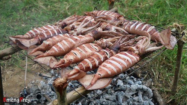 20260226 原始技术——鱿鱼的食用和烹饪