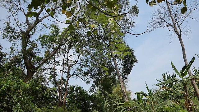 20260226 原始科技-发现食物遇上西瓜煮鱼吃秀