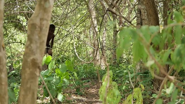 20260226 原始科技-山羊煮食美味