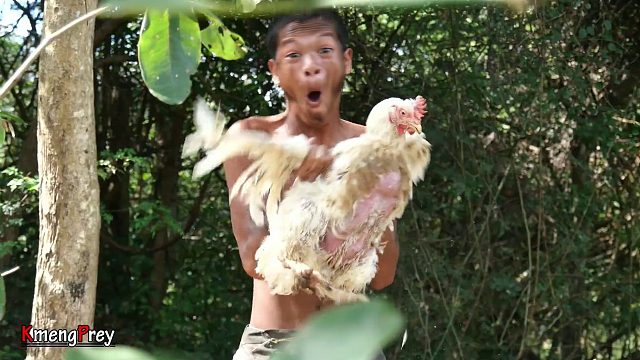 20260226 原始科技——遇见鸡&煮鸡蛋吃美味