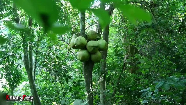 20260226 煮大蜗牛⧸⧸吃海鲜-吃秀（Kmeng Prey）