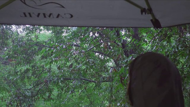 20260226 倾盆大雨中的猪肉泡菜煎饼和一杯马格利酒｜温暖的火山火锅烧酒温暖身体｜与狗在舒适的帐