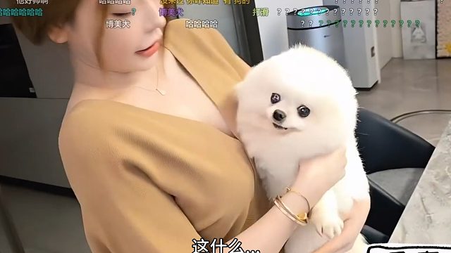 怪不得有些人家里喜欢养点宠物，小酷哥：这狗真白啊