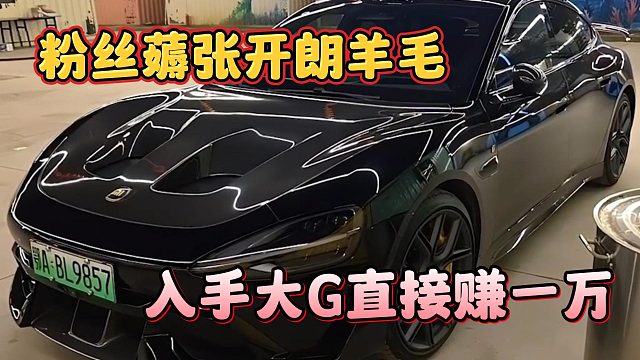 粉丝薅张开朗羊毛，入手大G直接赚一万