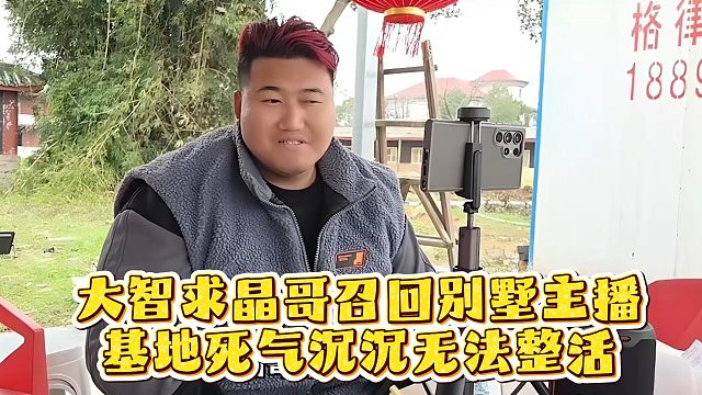 大智求晶哥召回别墅主播，基地死气沉沉无法整活
