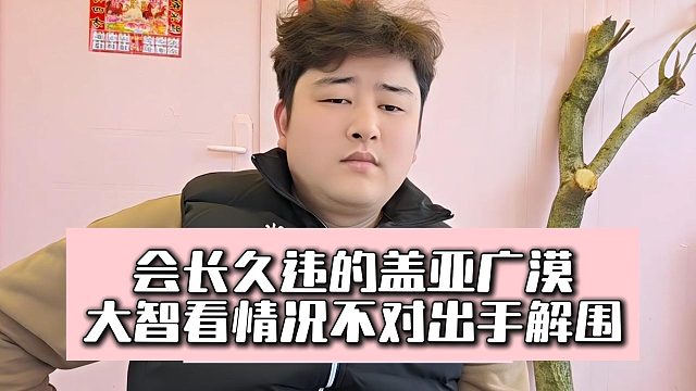 会长久违的盖亚广漠，大智看情况不对出手解围