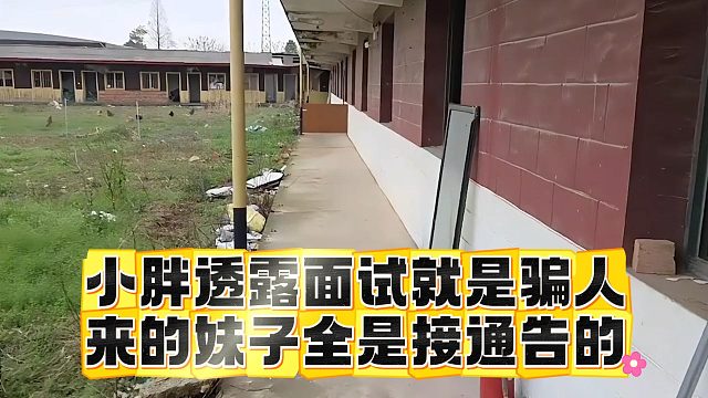 小胖透露面试就是骗人，来的妹子全是接通告的