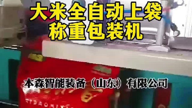 大米全自动上袋称重包装机厂家直供