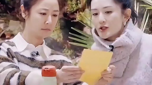 当谢娜遇见林心如…哈哈哈