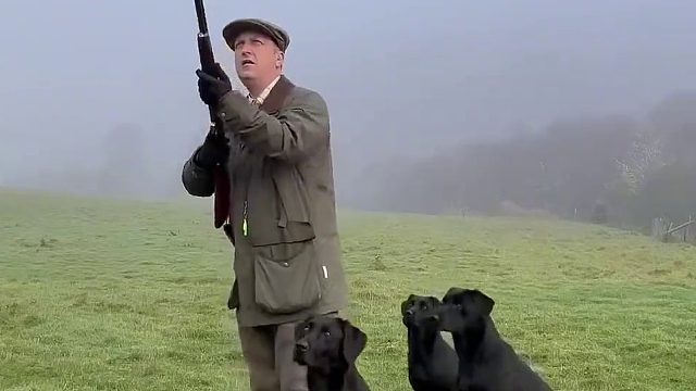 男人带着一群猎犬捕击泛滥的野鸡