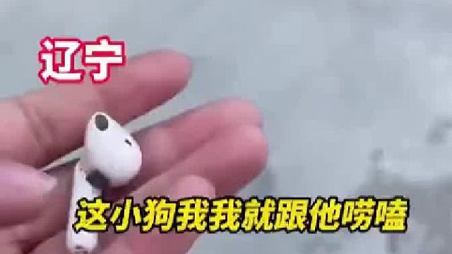女生耳机丢了一只实在找不着看到路边只有一只小狗，就问它能找不