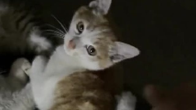 把它们搬到另一辆车上去