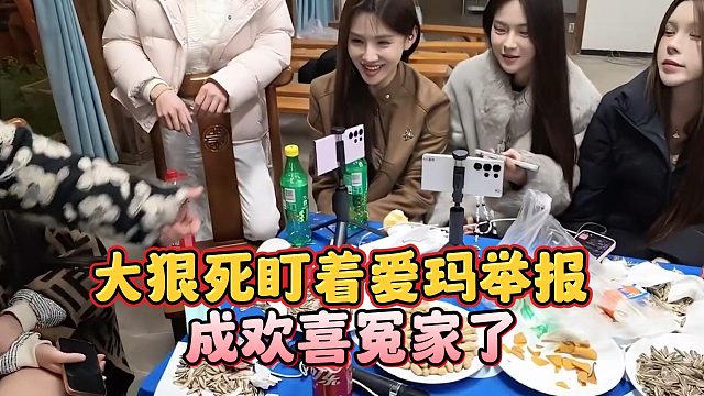 大狠死盯着爱玛举报，成欢喜冤家了