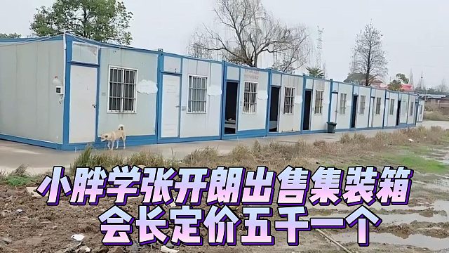 小胖学张开朗出售集装箱，会长定价五千一个