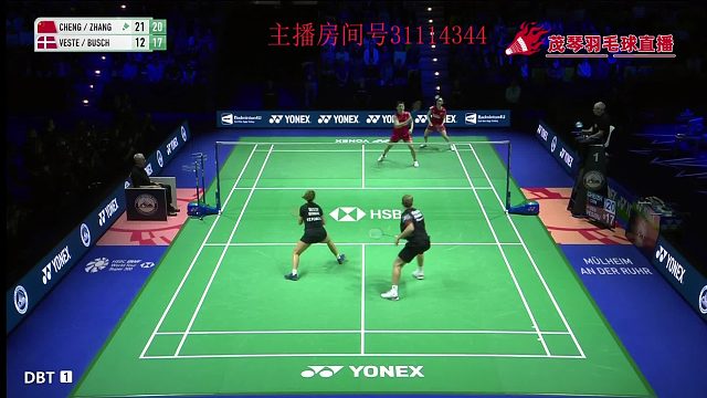 德羽公开赛程星/张驰21:12，21:17获得冠军