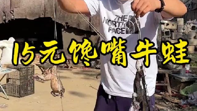 15元馋嘴牛蛙