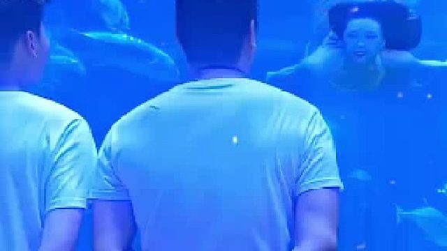 潜水员：今天下海捞鱼做一个大餐_潜水员：这只大不错，就你了_鱼：完蛋