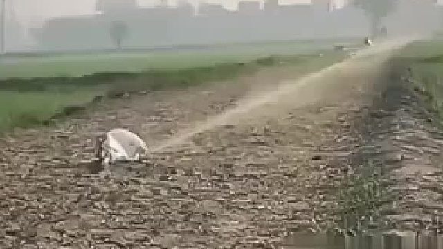 当兔子转弯的那一刻，狗子的cpu都烧了