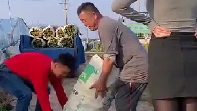 女婿和老丈人一起干活，竟然将包裹甩向老丈人扛