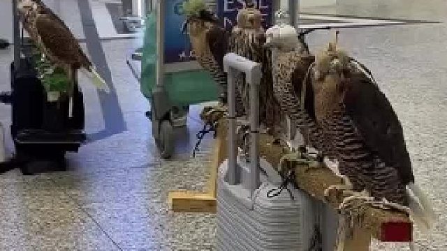 为什么迪拜怎么这么有钱？