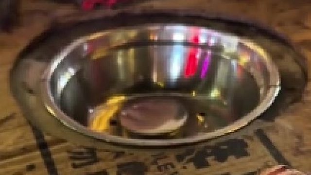 都告诉你别照了，正道的光太晃眼了[看]