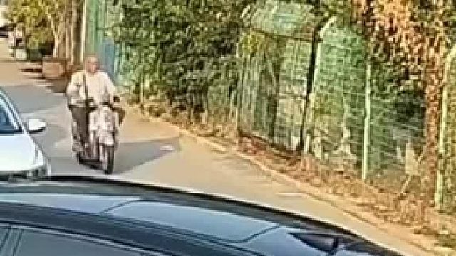 没栓绳的小狗追电动车，被光头大哥拿起石头砸伤，网友一边倒