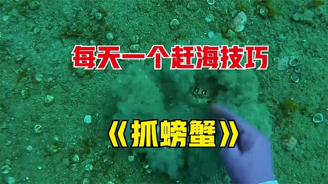 每天一个赶海小技巧，今天分享的是如何在海里抓螃蟹