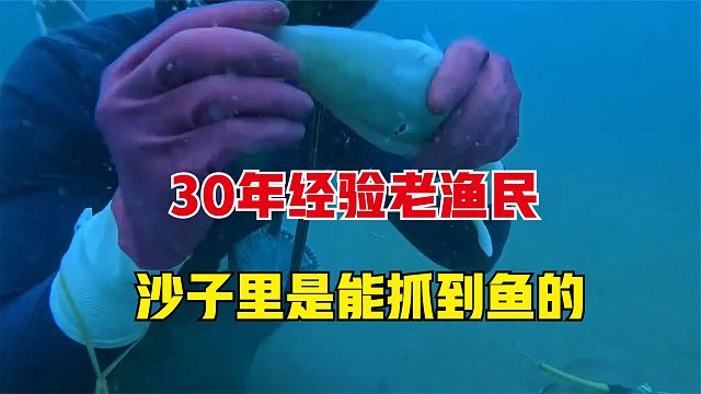 渔民赶海都能捞到啥，海底的沙子里都能抓到鱼，真是涨见识了