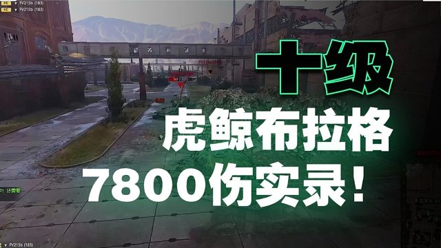 布拉格虎鲸怒爆7800伤