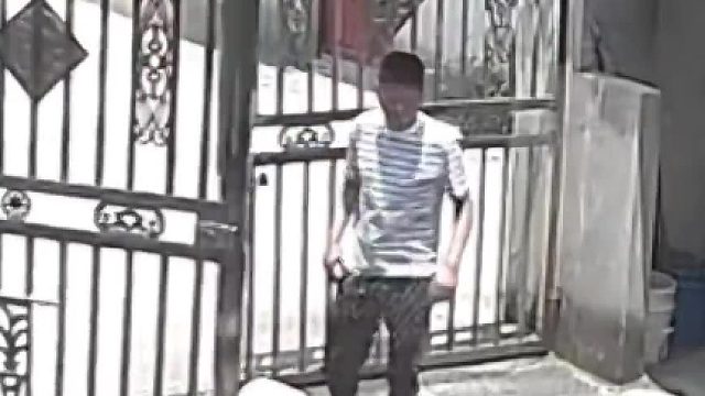 成功被我逗笑了。虽然我也怕蛇