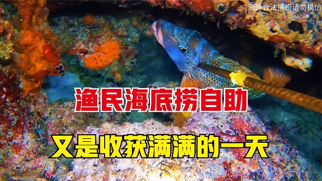渔民下海海底捞自助，又是收获满满的一天