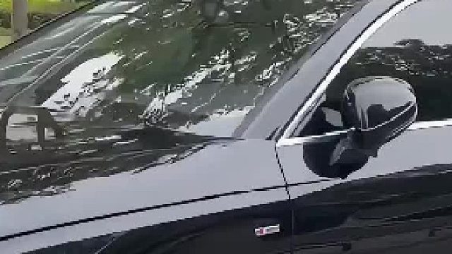 真是有卧龙必有凤雏