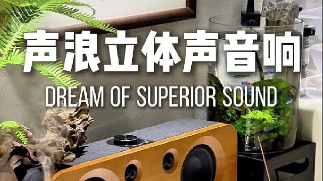 听过它才知道，什么叫真正的好音质！