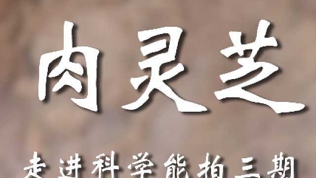 这玩意儿搁走进科学得拍个好几集